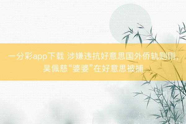 一分彩app下载 涉嫌违抗好意思国外侨轨则则，吴佩慈“婆婆”在好意思被捕
