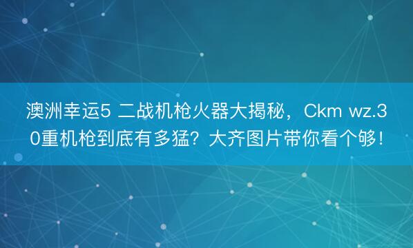 澳洲幸运5 二战机枪火器大揭秘，Ckm wz.30重机枪到底有多猛？大齐图片带你看个够！