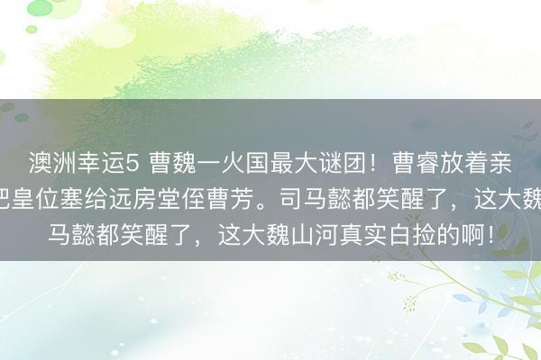 澳洲幸运5 曹魏一火国最大谜团!曹睿放着亲弟弟曹霖不要,偏把皇位塞给远房堂侄曹芳。司马懿都笑醒了,这大魏山河真实白捡的啊!