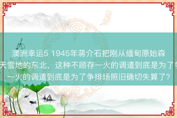 澳洲幸运5 1945年蒋介石把刚从缅甸原始森林出来的远征军派往冰天雪地的东北,这种不顾存一火的调遣到底是为了争排场照旧确切失算了?